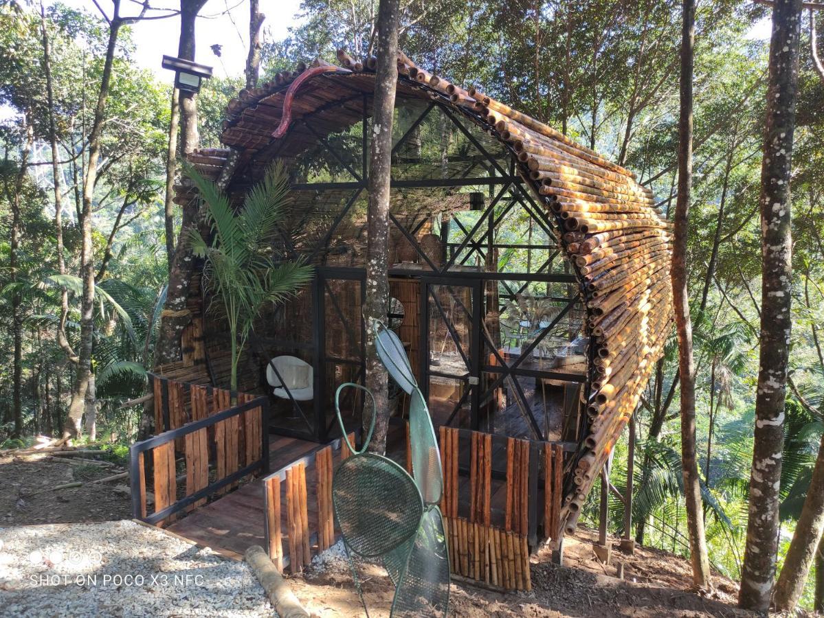 Glamping San Luis Nativa San Luis (Antioquia) Exterior foto